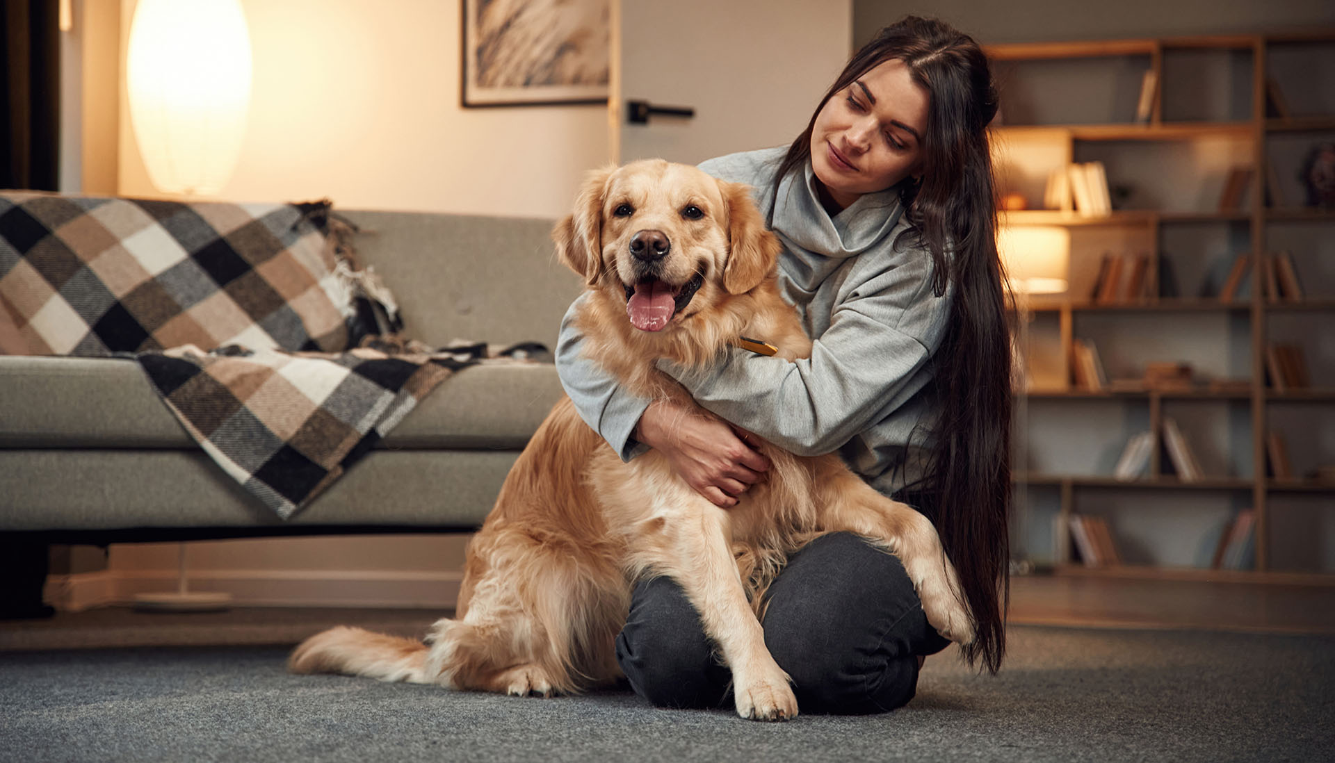 Dog sitters in Manchester